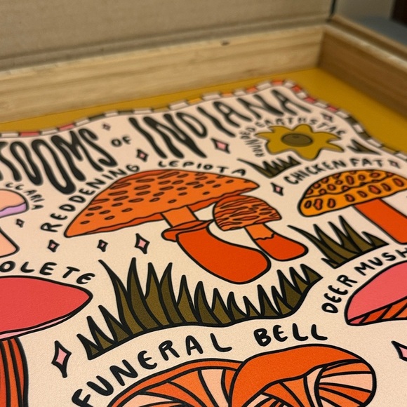 Mushrooms of Indiana by Doodle by Meg Framed Art Print Deny Designs Square Tray - Picture 5 of 7